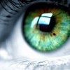 AP Psychology  Sensation and Perception