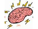 AP Psychology  Testing   Individual Differences