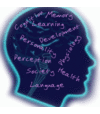 AP Psychology  States of Consciousness