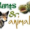 Structure and Function of Plants and Animals