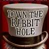 Down the Rabbit Hole Chapters 16 19