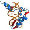 AP Biology  Heredity   Evolution  Mol  Genetics