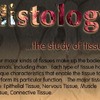 Histology Exam II