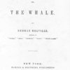 AP Lit   Comp  Moby Dick