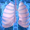 Respiratory   Prep for Exam 3 OUZ