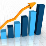 Business and Accounting Majors