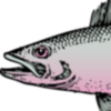 the fishing club