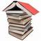 AP English Literature/Composition