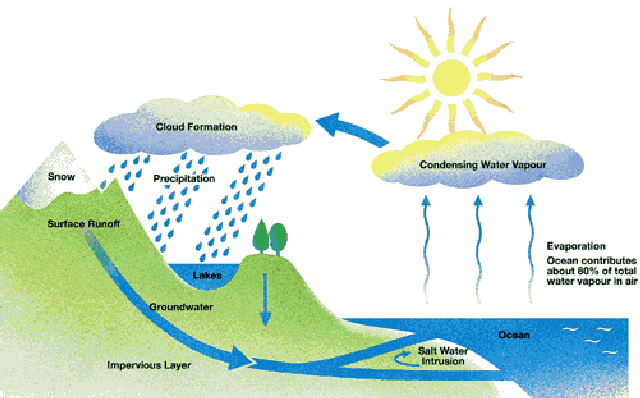 ap bio carbon cycle essay ap bio carbon cycle essay