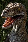 Jurassic Park