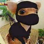 mysondennis99 